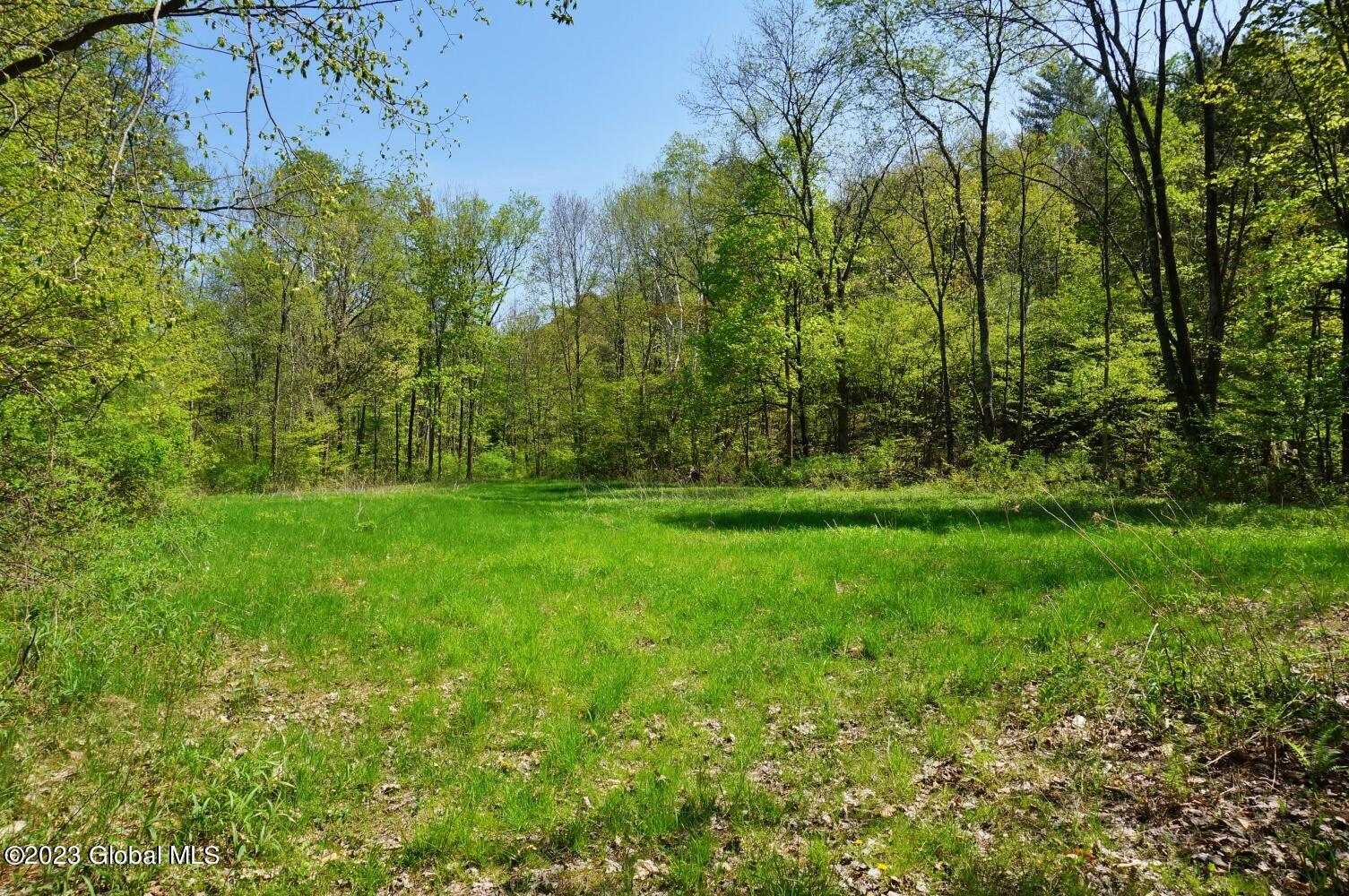 1032 Bogtown Road Salem NY 12865