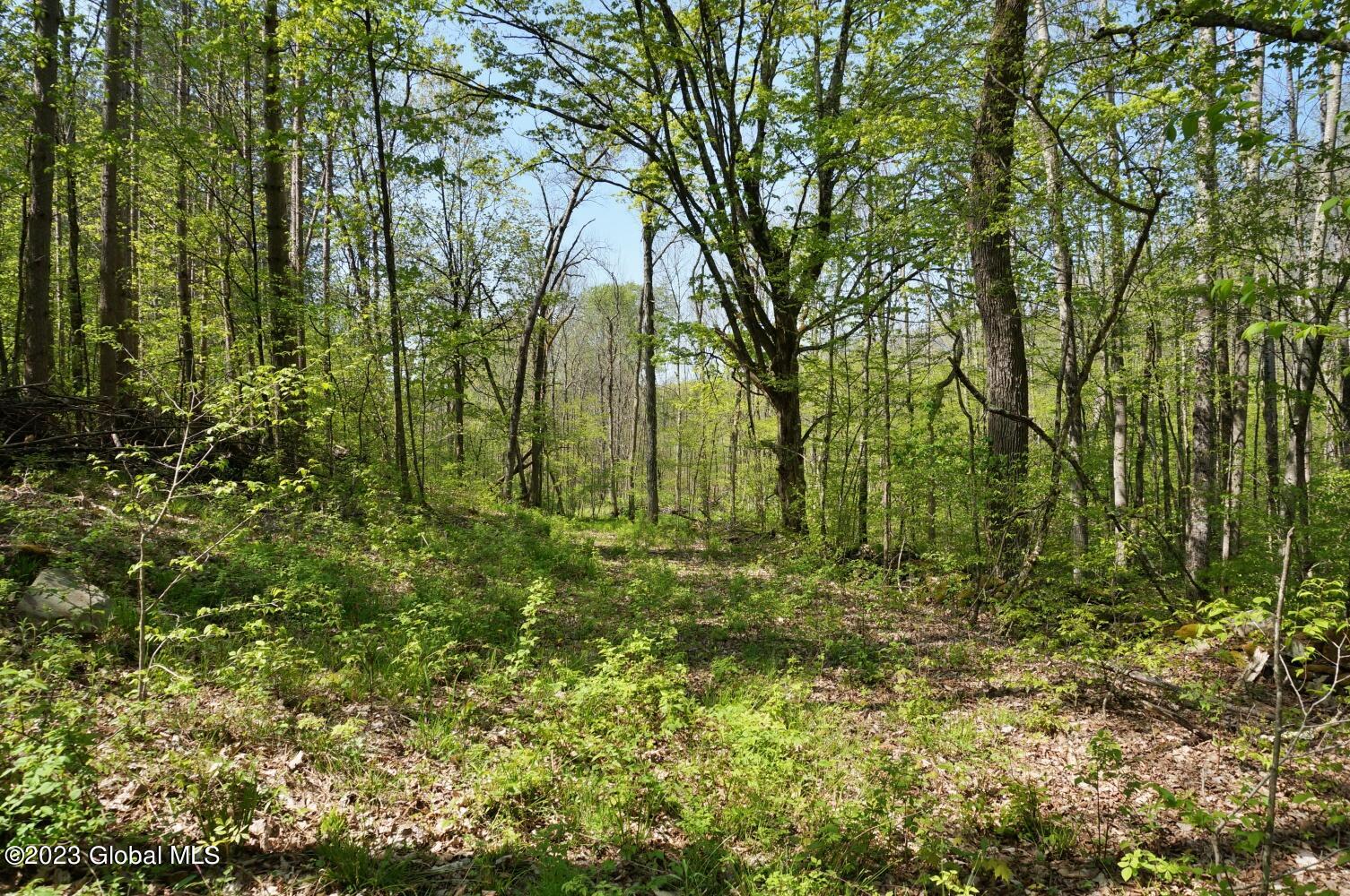 1032 Bogtown Road Salem NY 12865