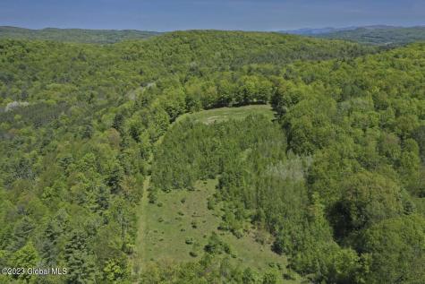 1032 Bogtown Road Salem NY 12865
