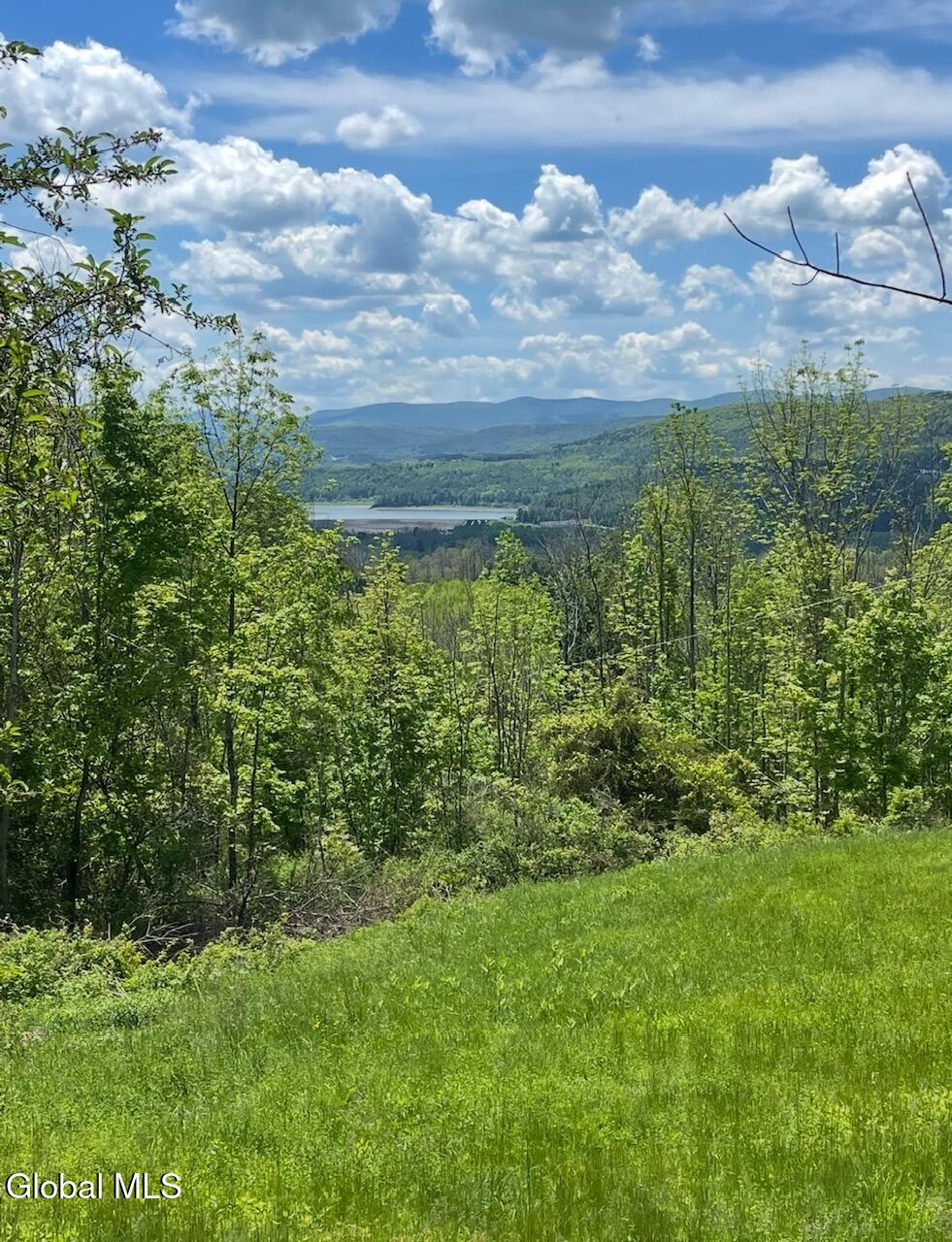 127 Grassy Road West Fulton NY 12131