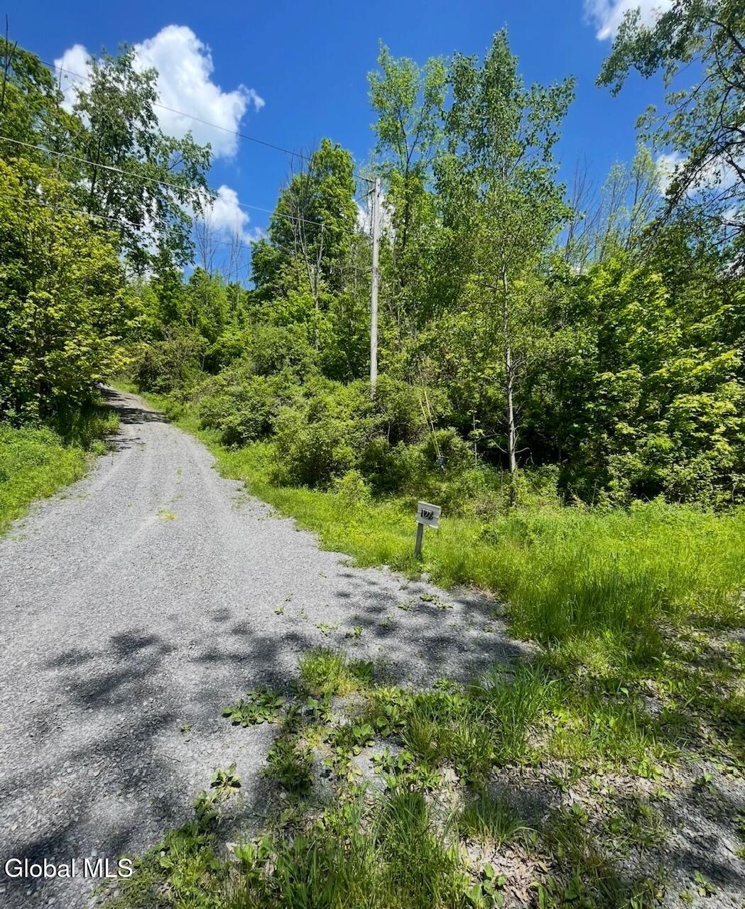 127 Grassy Road West Fulton NY 12131