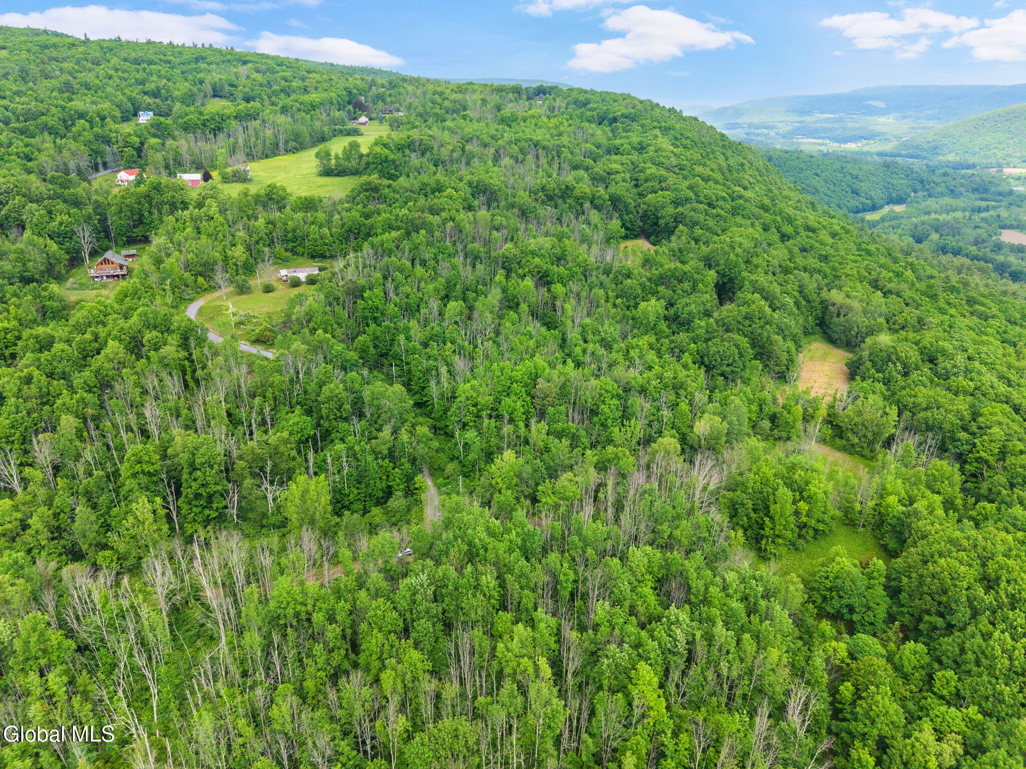 127 Grassy Road West Fulton NY 12131