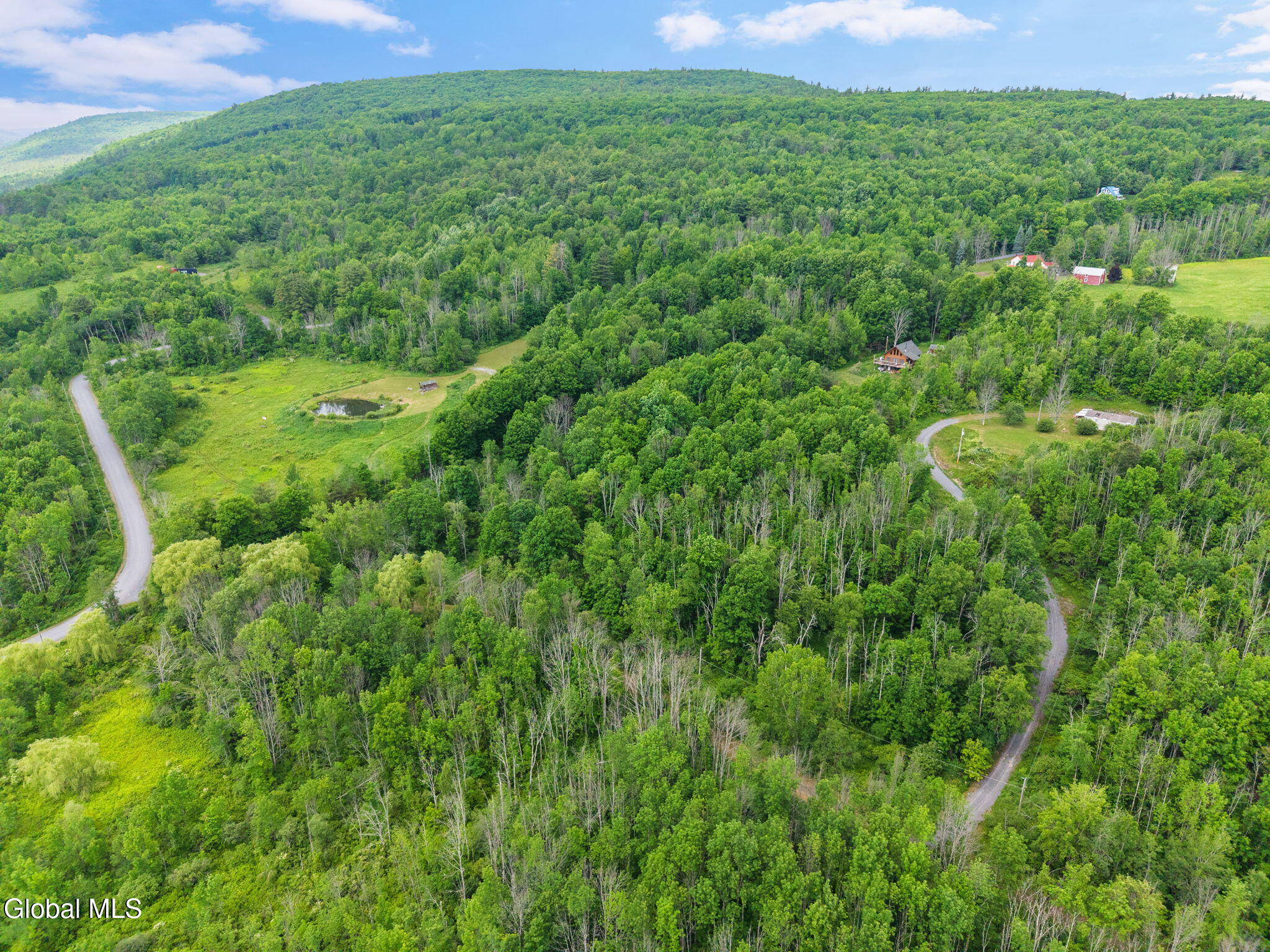 127 Grassy Road West Fulton NY 12131