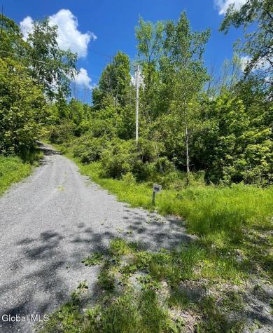 127 Grassy Road West Fulton NY 12131