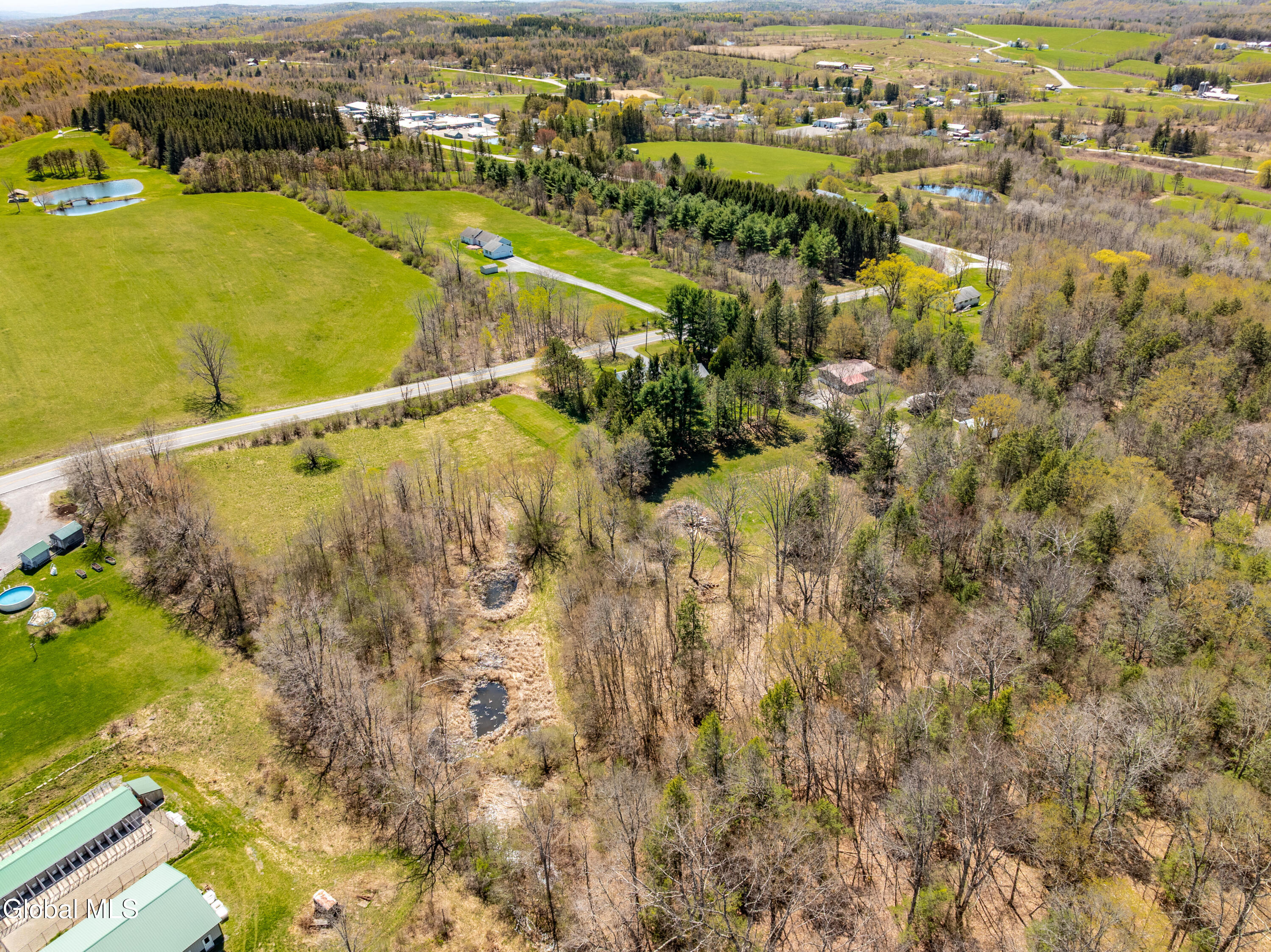 109 County Route 412 Westerlo NY 12193