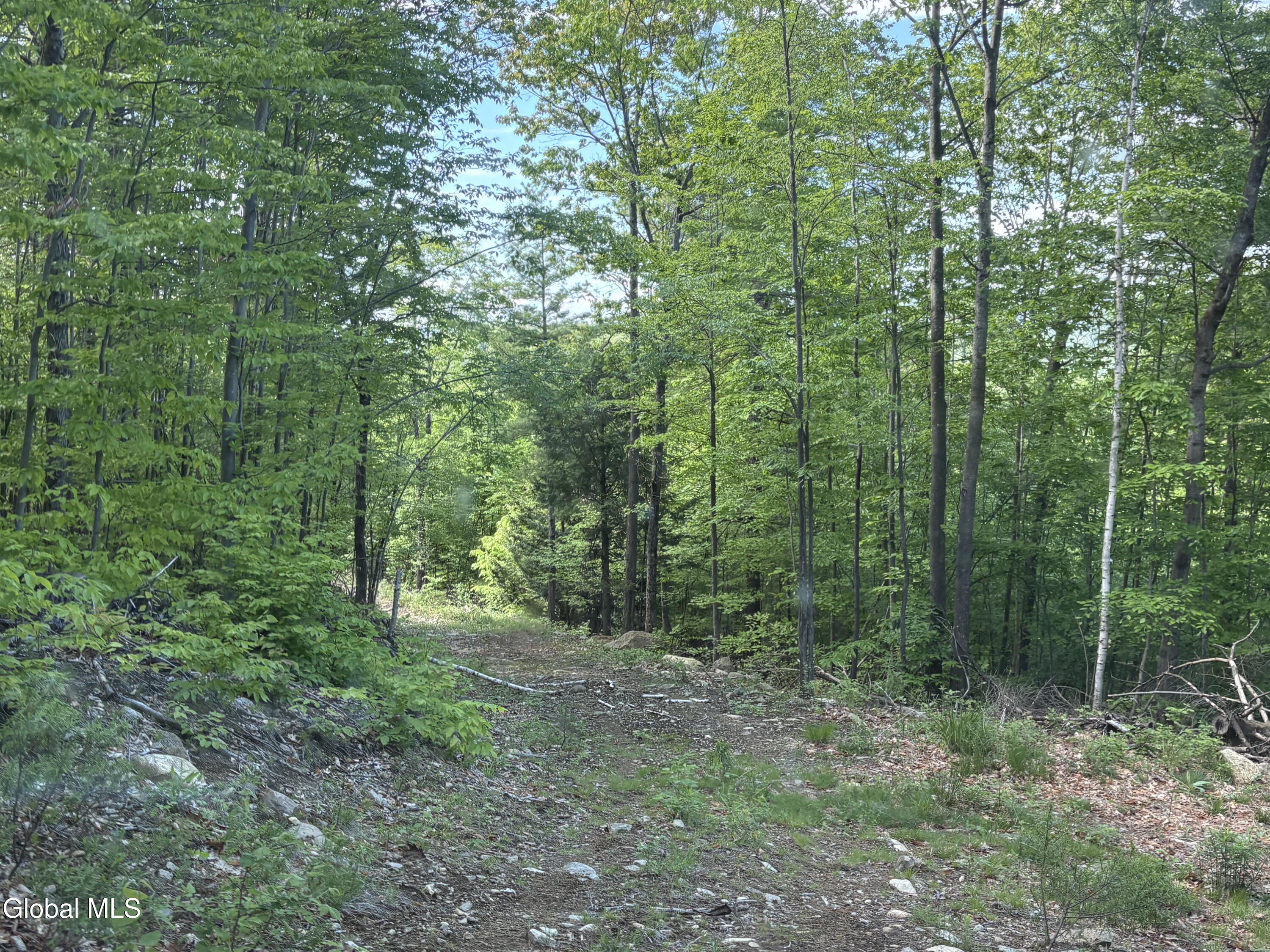 158 Cheney Road Port Henry NY 12974