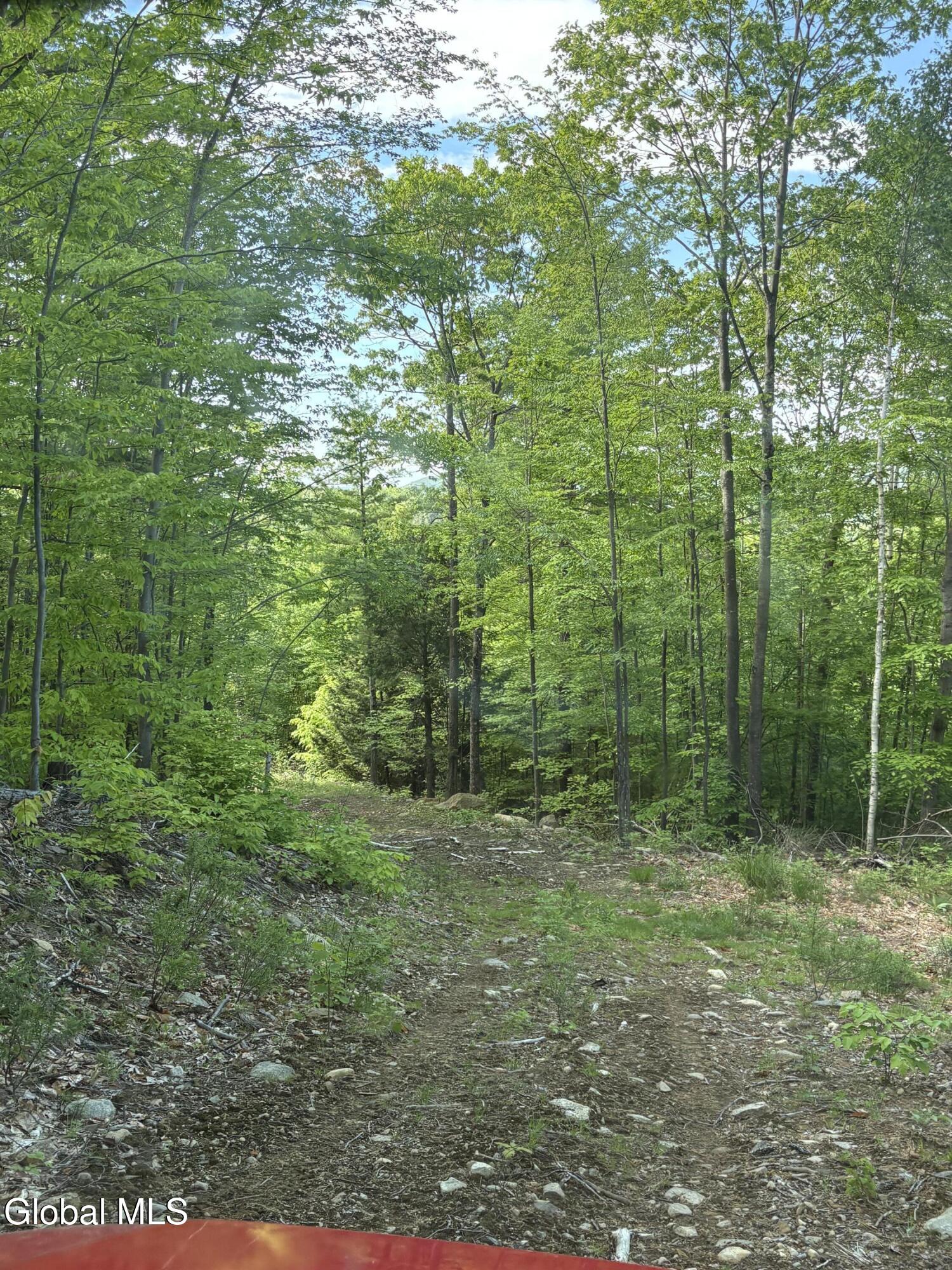 158 Cheney Road Port Henry NY 12974