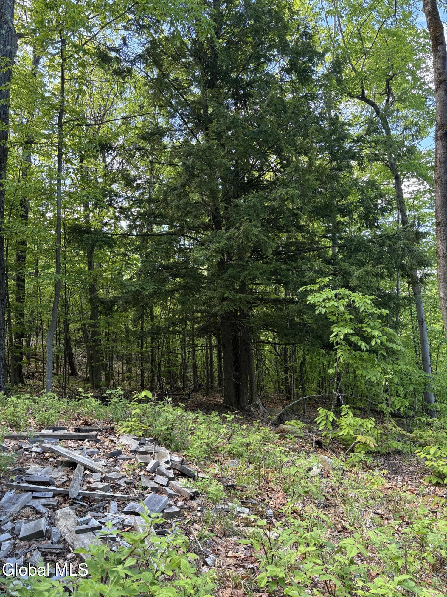 158 Cheney Road Port Henry NY 12974