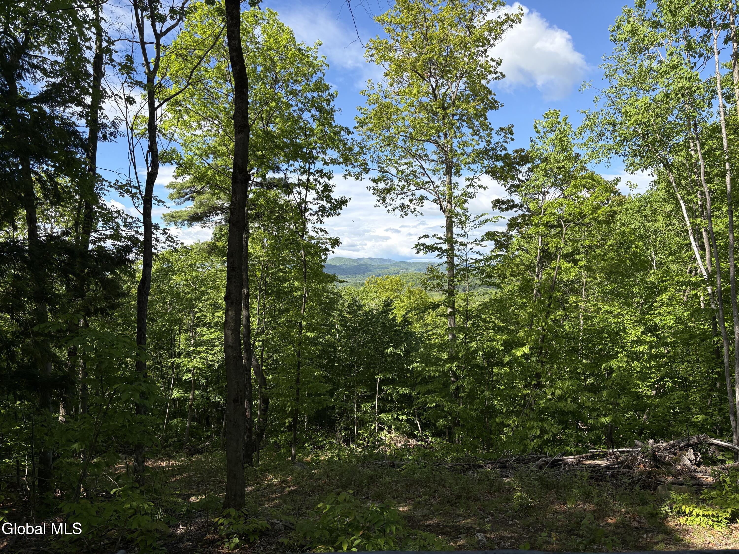158 Cheney Road Port Henry NY 12974