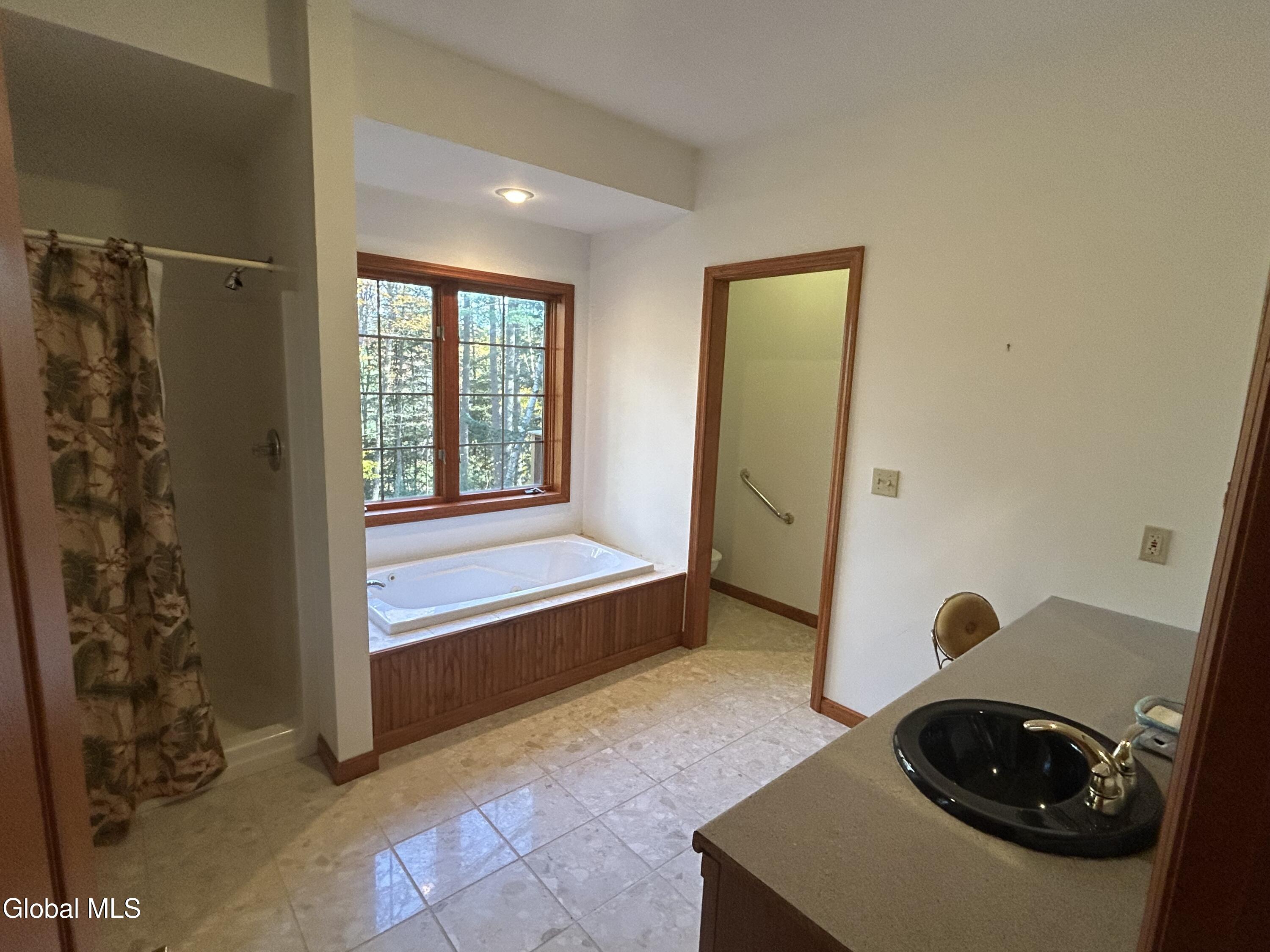 553 Potter Hill Road Bolton Landing NY 12814