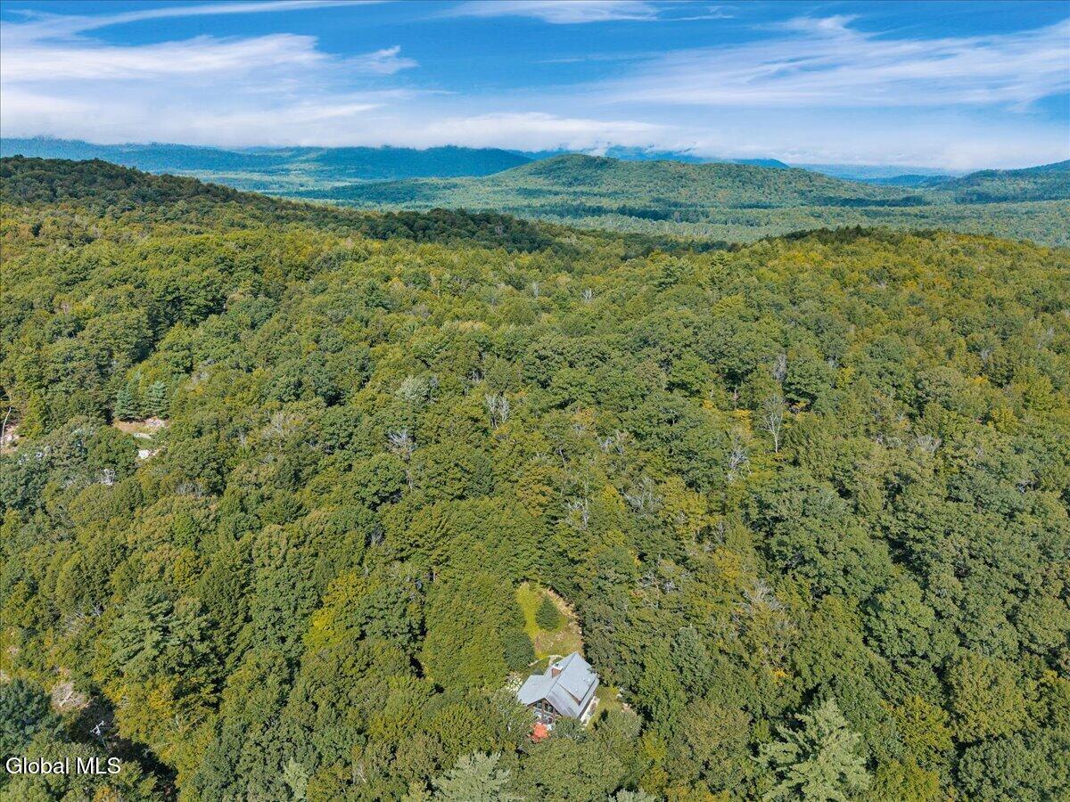 14 Smith Mountain Road Lake Luzerne NY 12846