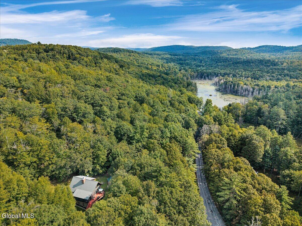 14 Smith Mountain Road Lake Luzerne NY 12846