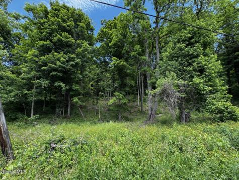 21 River Road Buskirk NY 12028