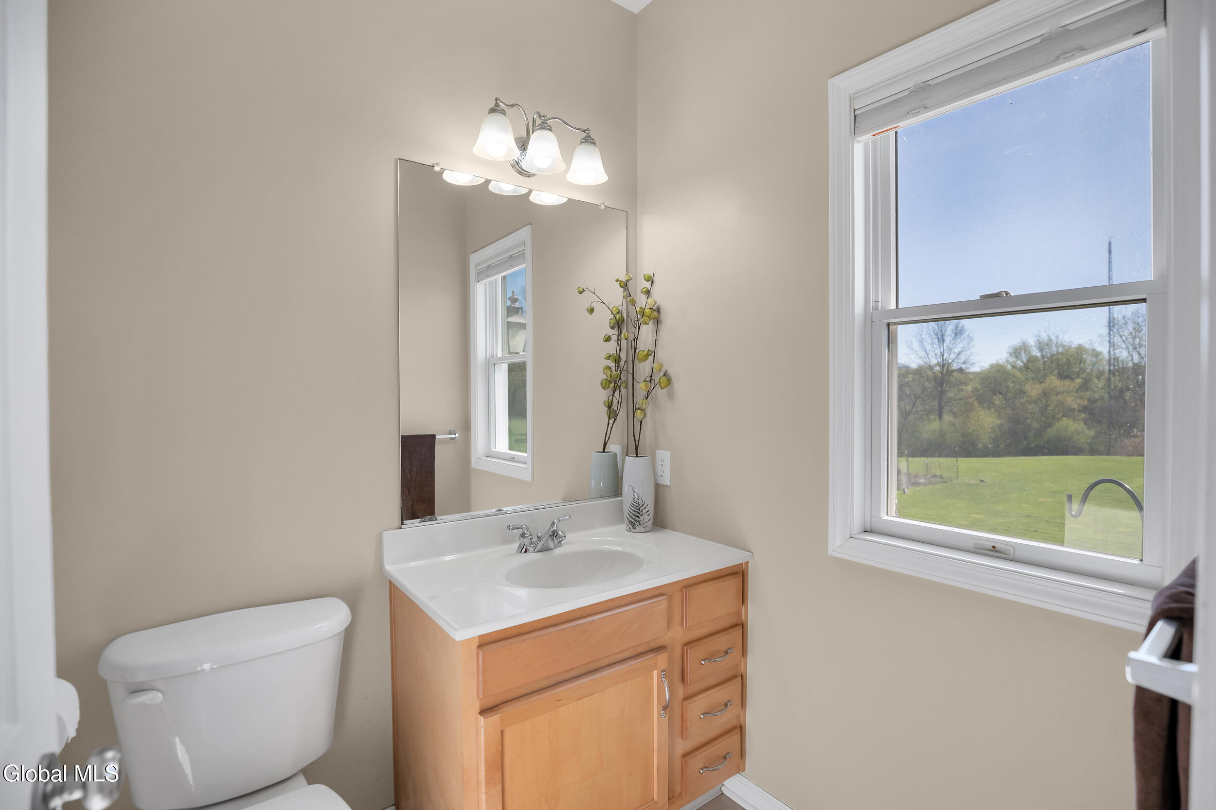 12 Magnolia Way Ballston Lake NY 12019