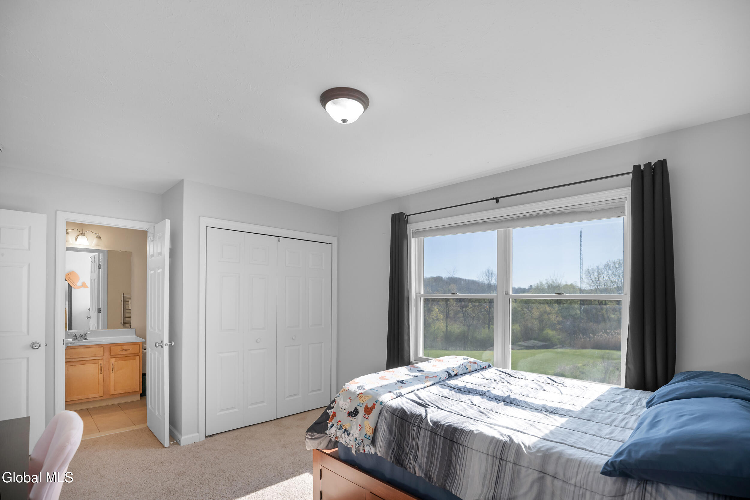 12 Magnolia Way Ballston Lake NY 12019