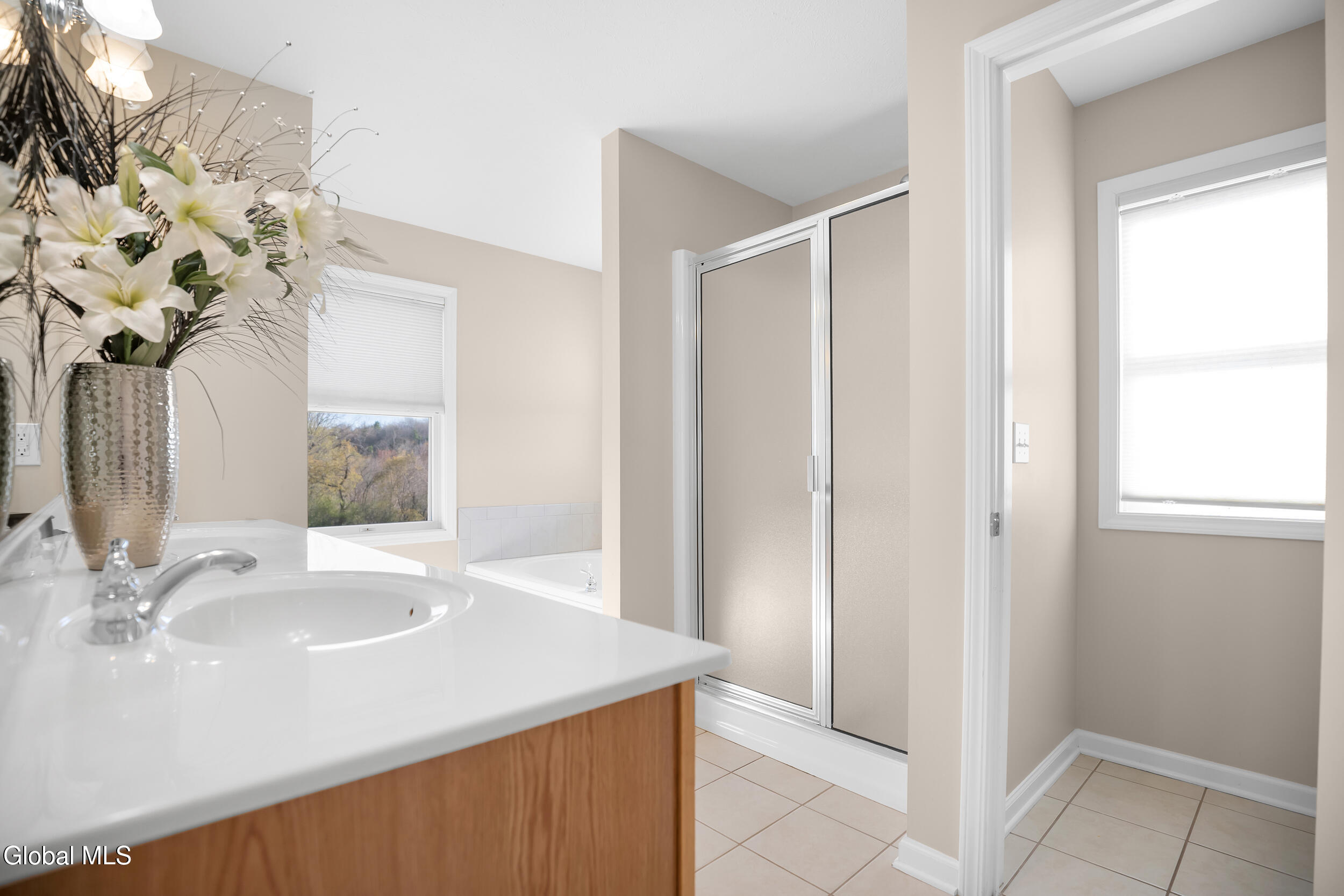 12 Magnolia Way Ballston Lake NY 12019