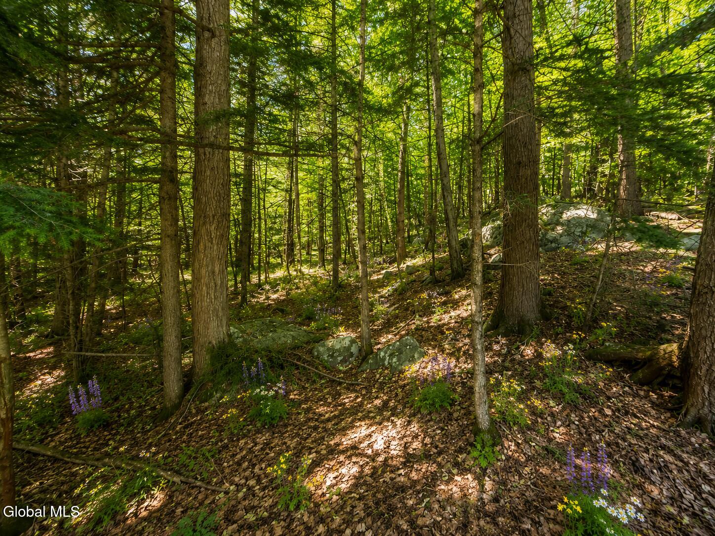 50 Kingsley Lane Chester NY 12817