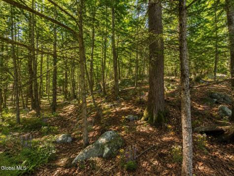 50 Kingsley Lane Chestertown NY 12817