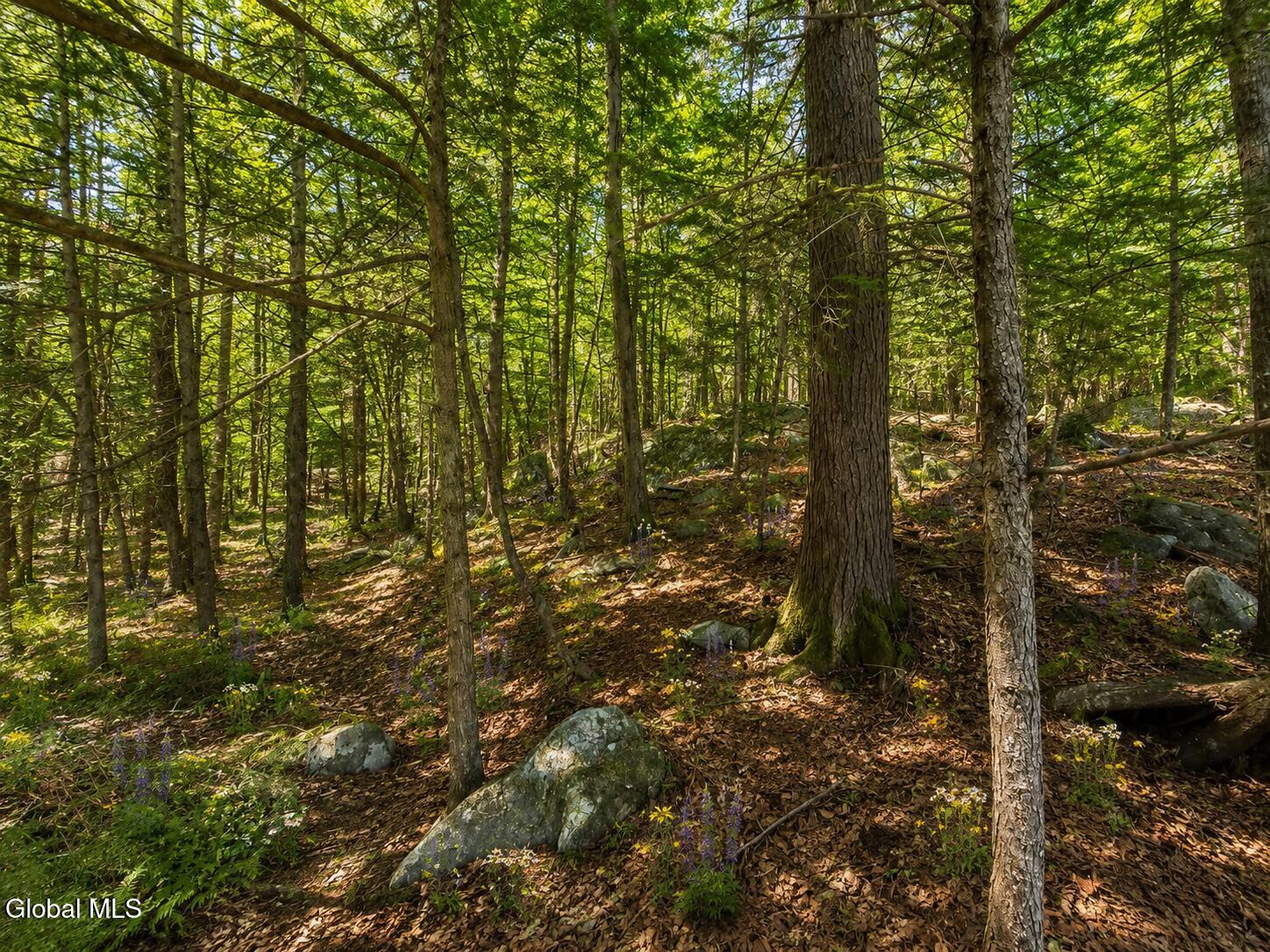 50 Kingsley Lane Chester NY 12817