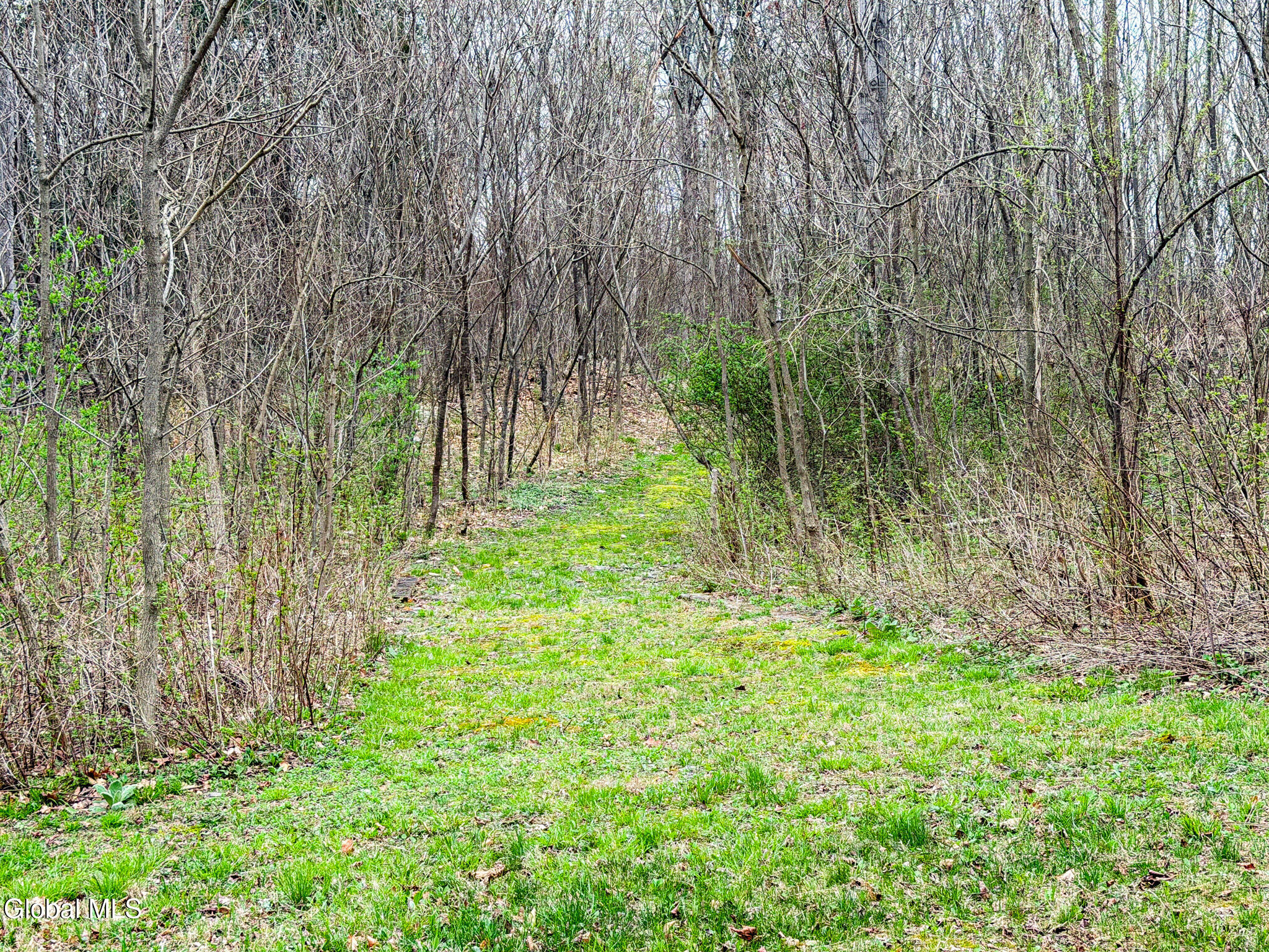 171 Willowbrook Drive Surprise NY 12058