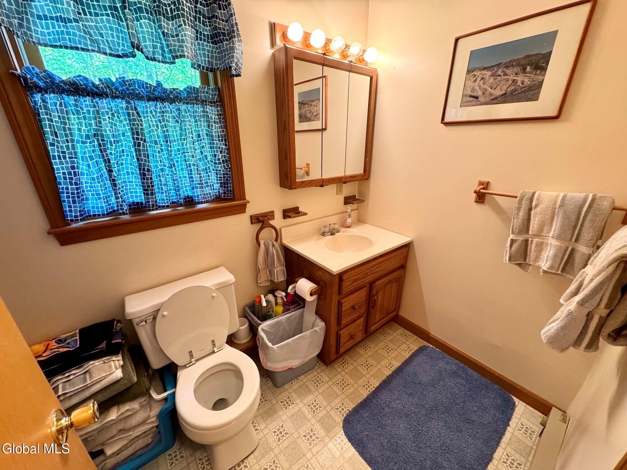 17 Ridgecrest Way Whitehall NY 12887