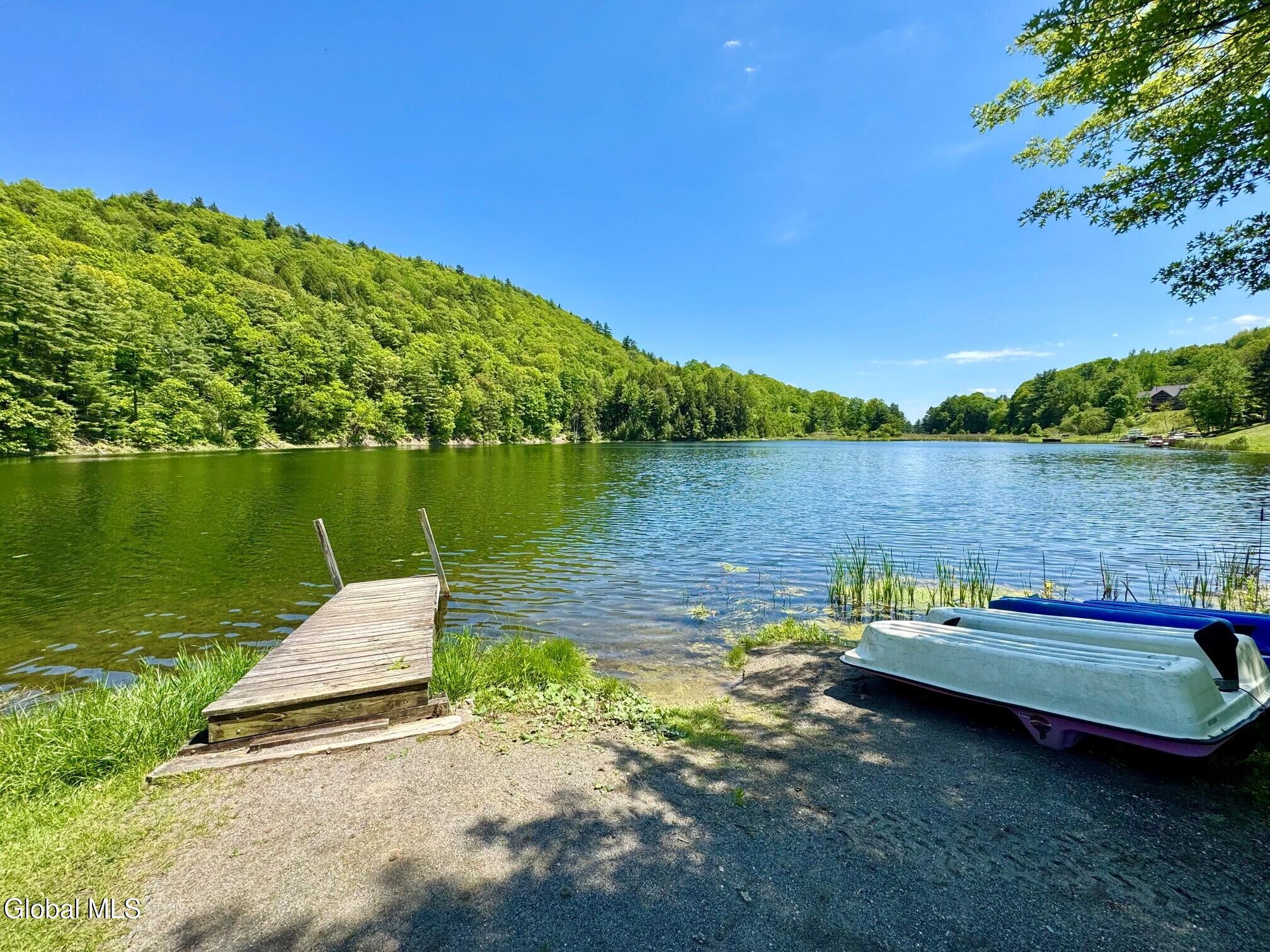 17 Ridgecrest Way Whitehall NY 12887