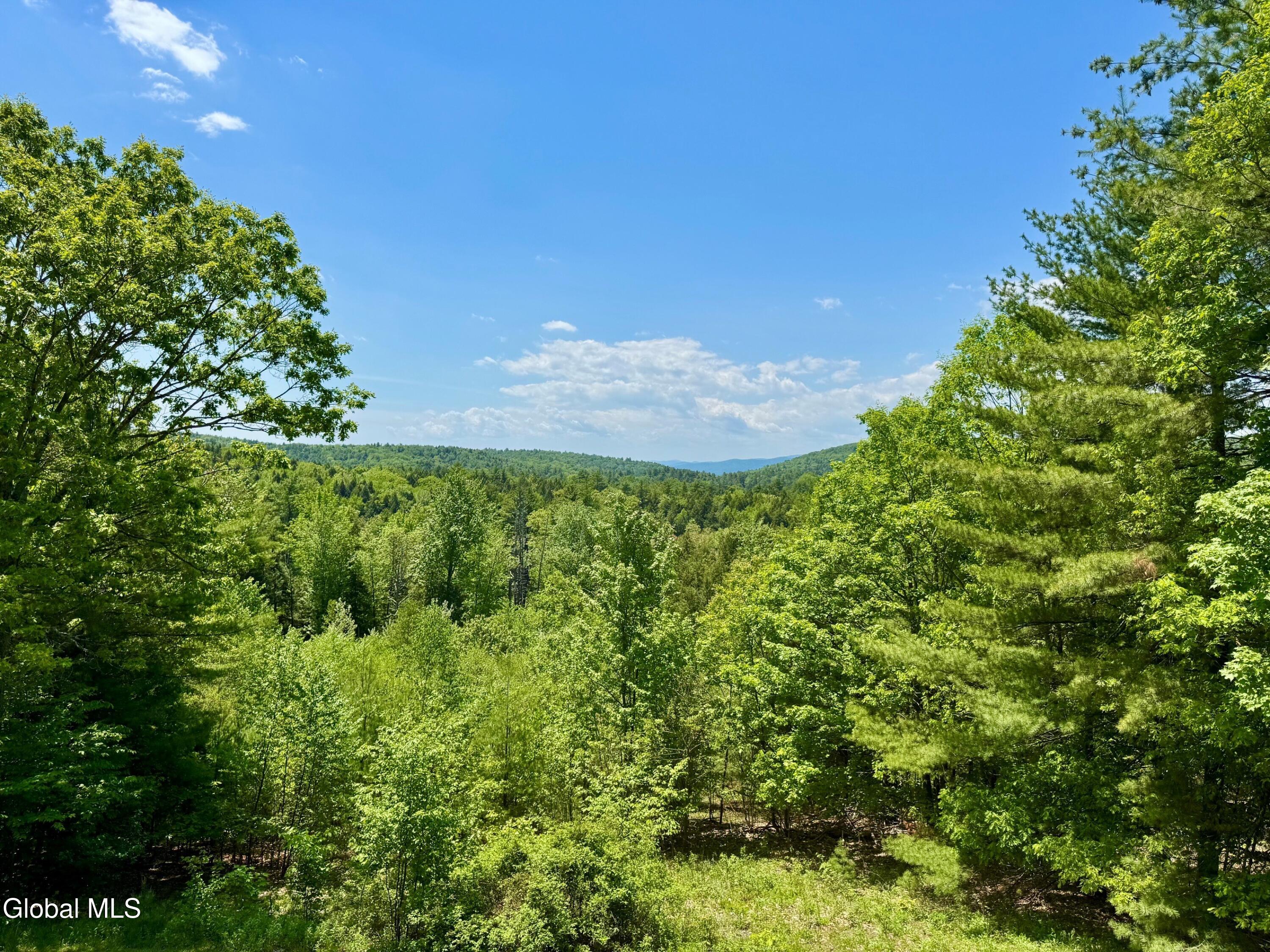 17 Ridgecrest Way Whitehall NY 12887
