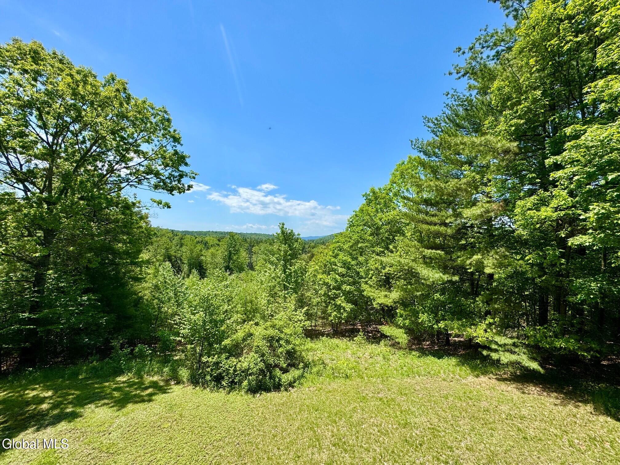 17 Ridgecrest Way Whitehall NY 12887