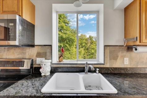 107 Wilderness Way Stephentown NY 12169