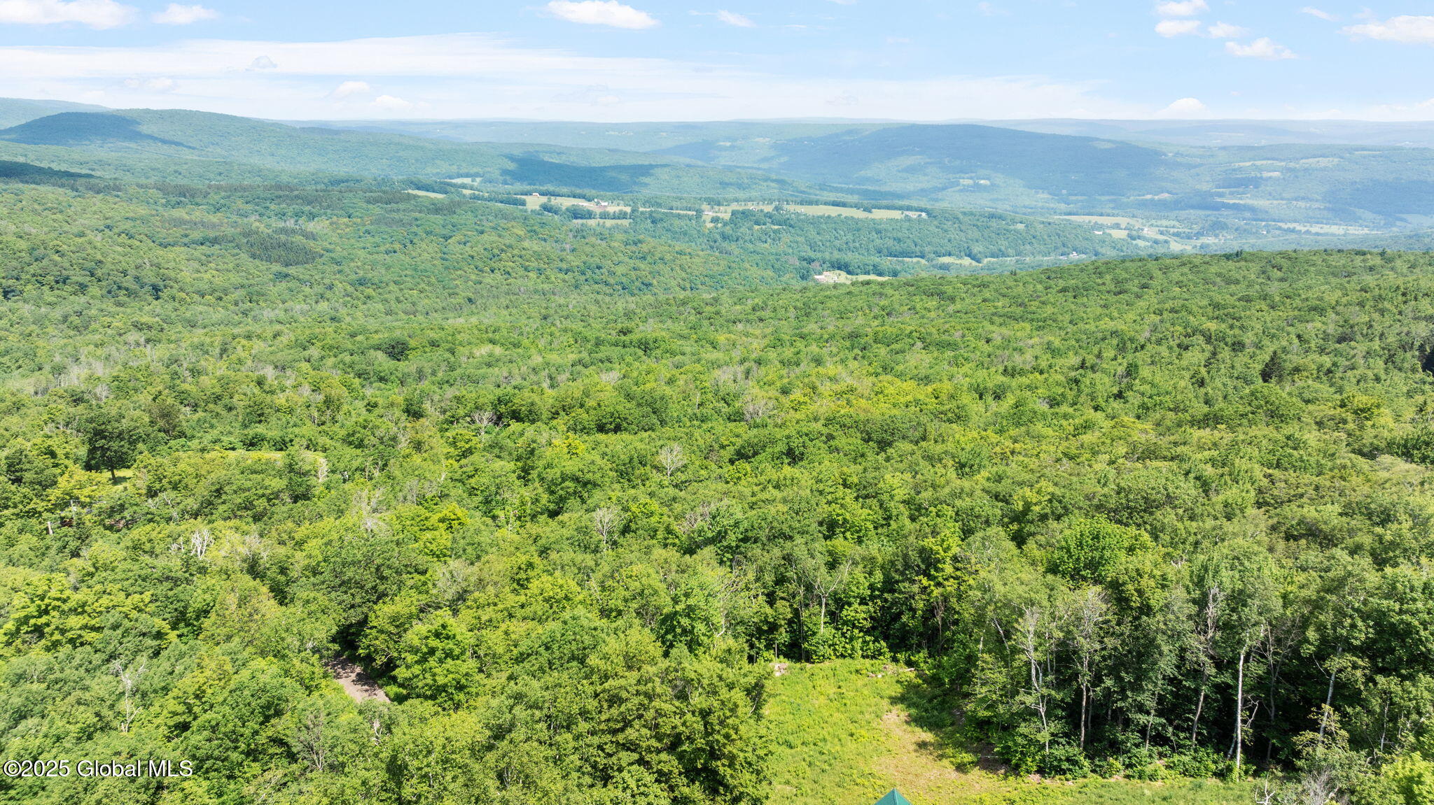 892 Durham Road Gilboa NY 12076