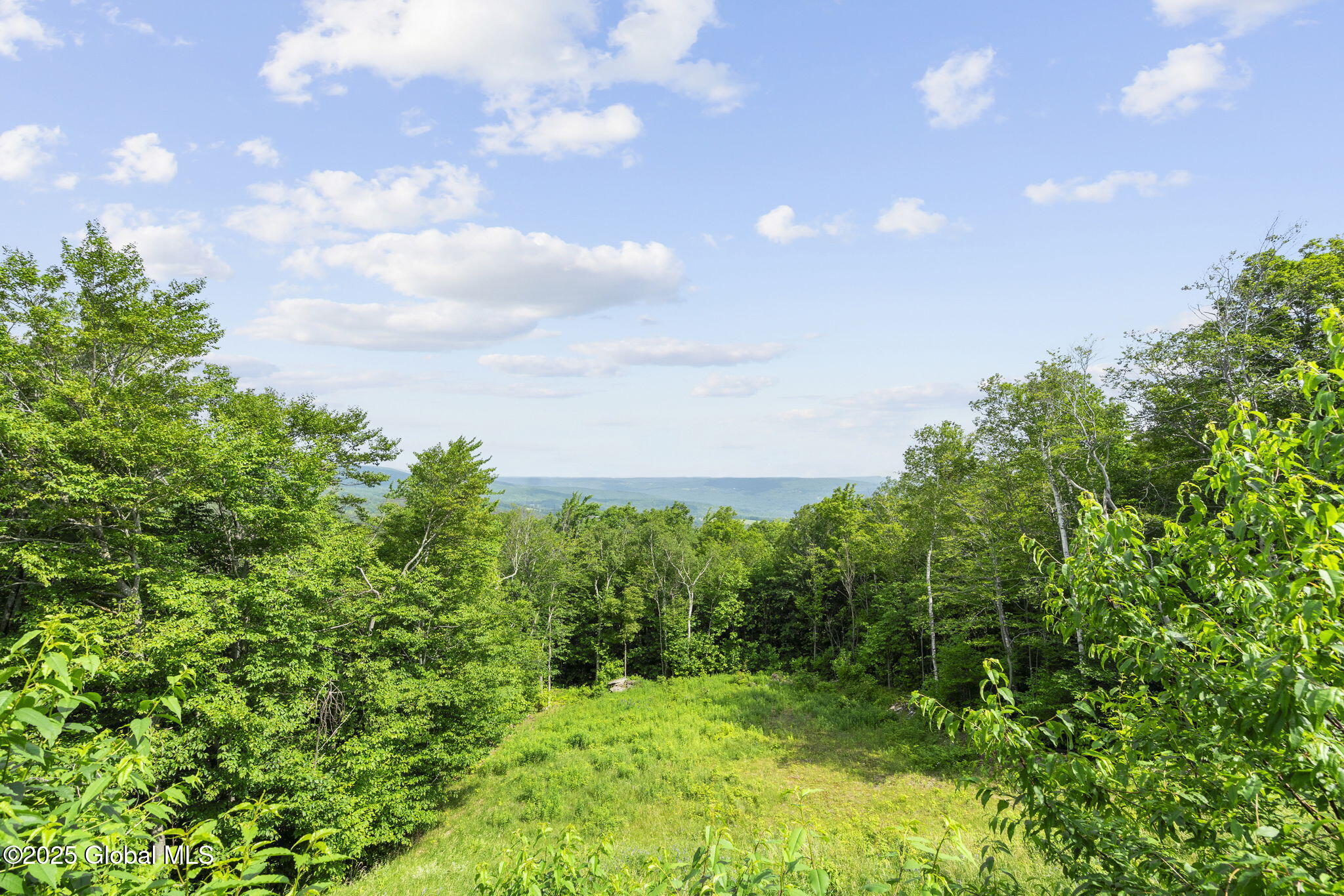 892 Durham Road Gilboa NY 12076