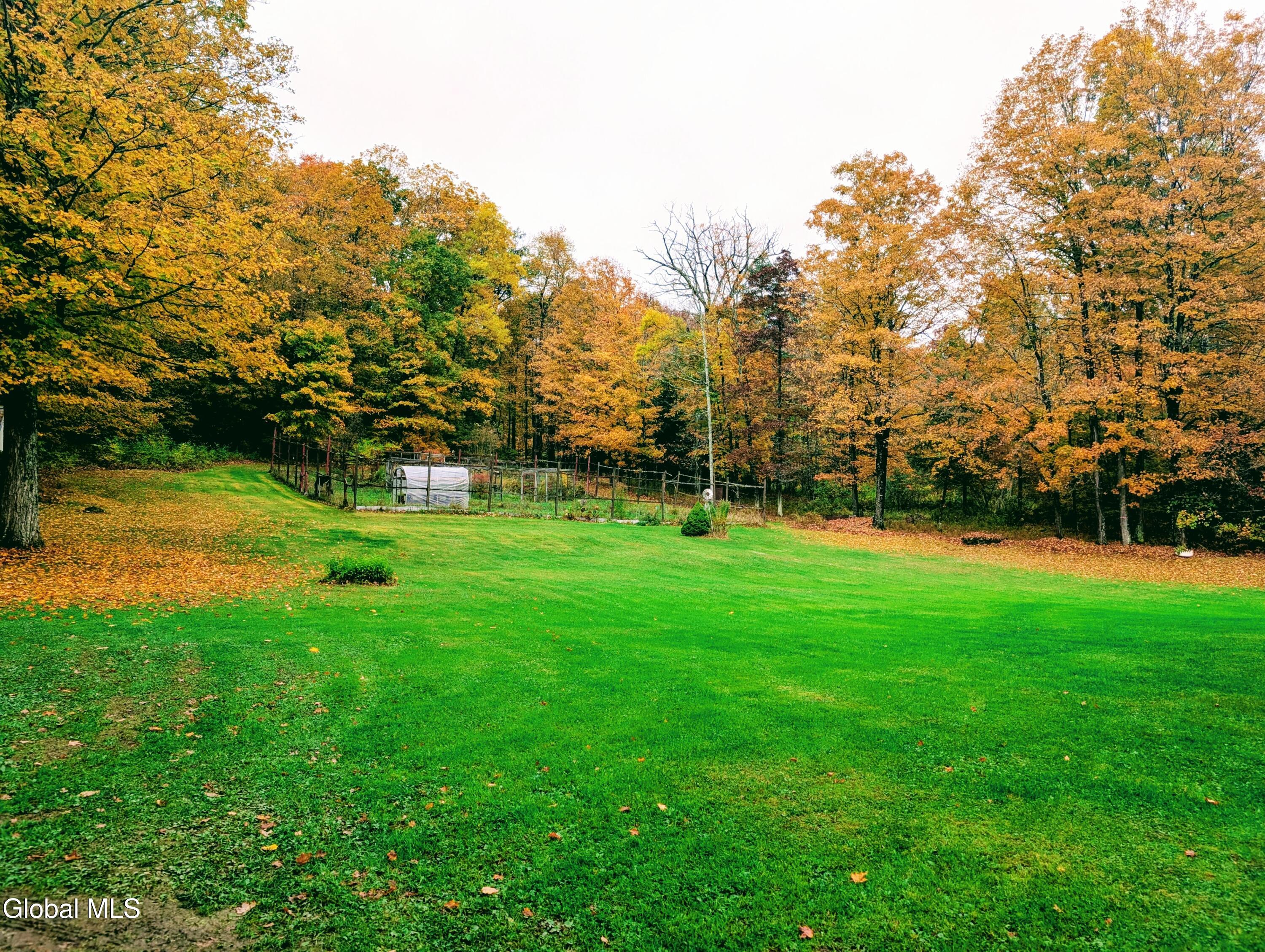 14069 State Route 22 Clemons NY 12819
