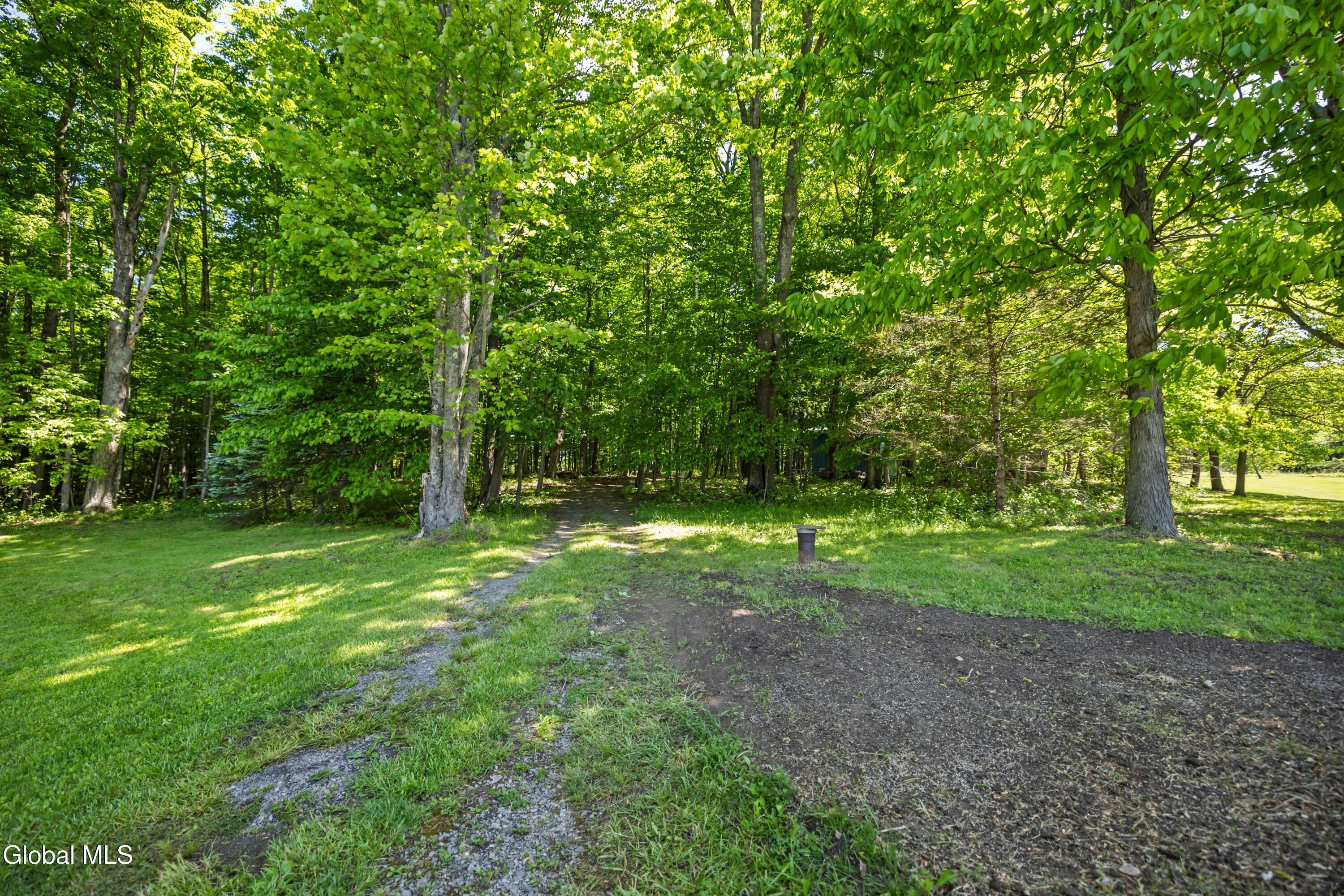 863 Turnbull Road Delanson NY 12053