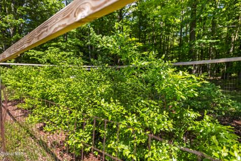 863 Turnbull Road Delanson NY 12053