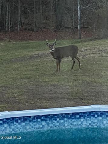 55 Deer Hill Lane Granville NY 12832