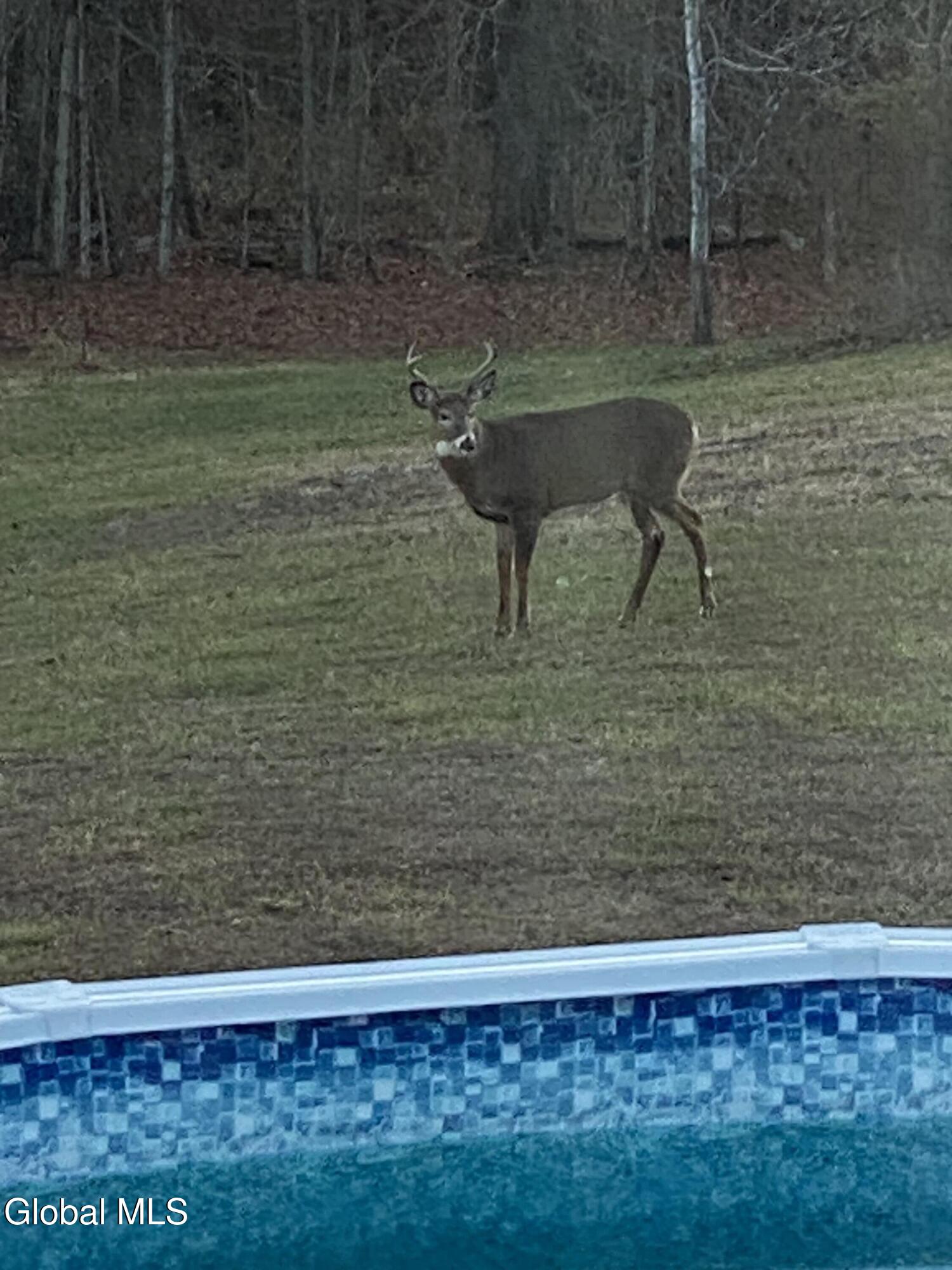 55 Deer Hill Lane Granville NY 12832
