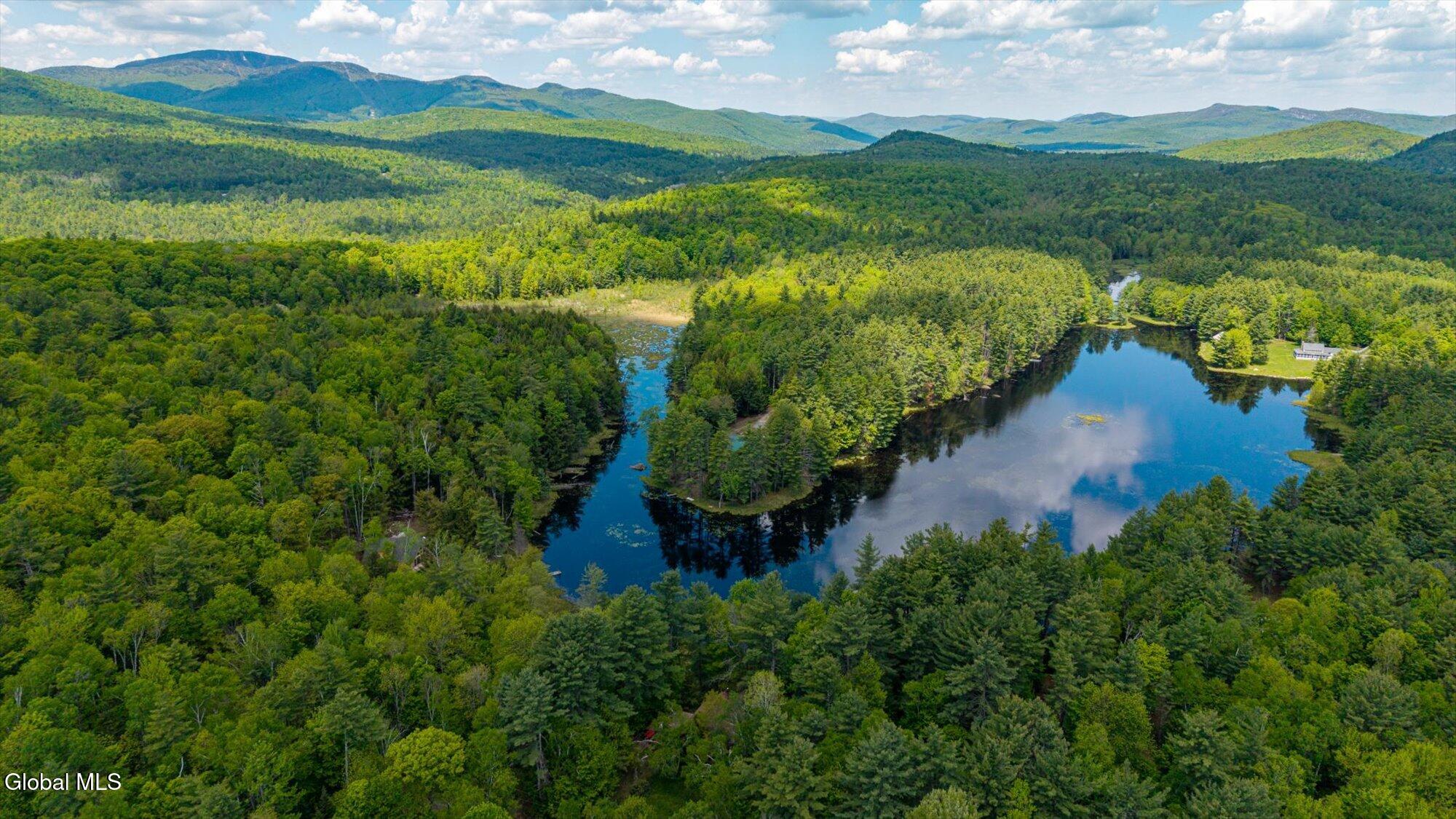175 Antler Lake Road Wevertown NY 12886
