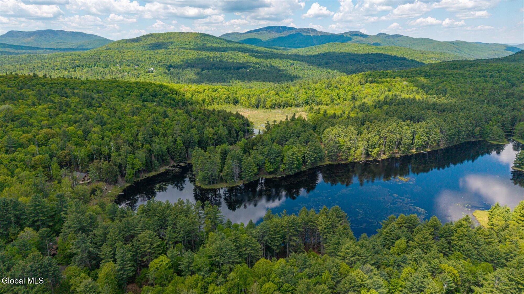 175 Antler Lake Road Wevertown NY 12886