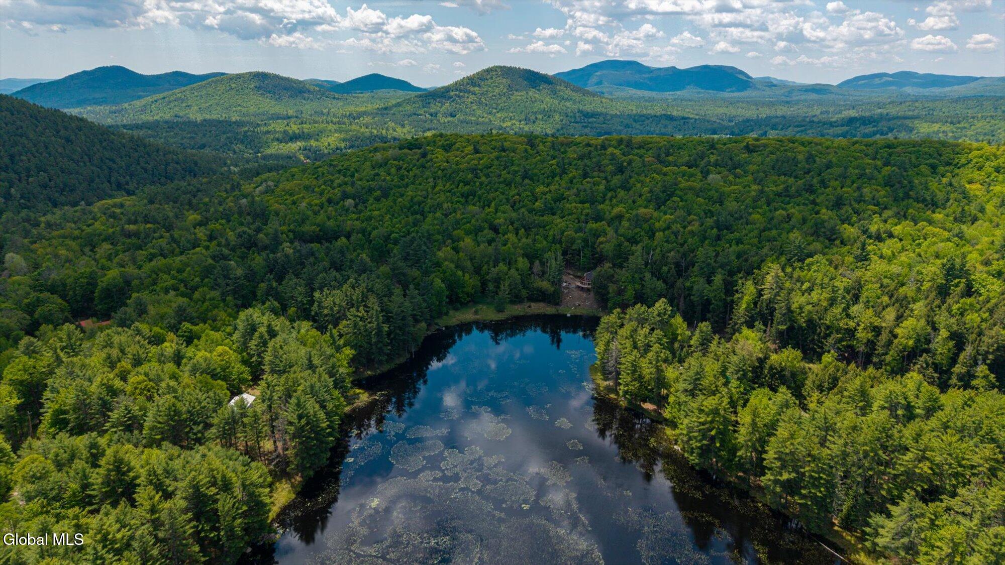 175 Antler Lake Road Wevertown NY 12886