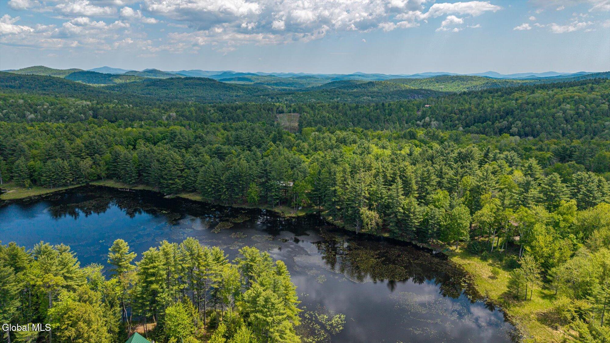 175 Antler Lake Road Wevertown NY 12886