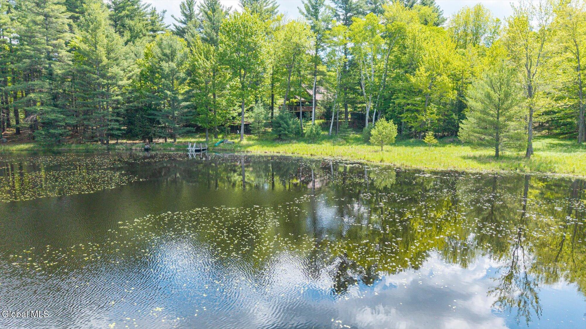 175 Antler Lake Road Wevertown NY 12886
