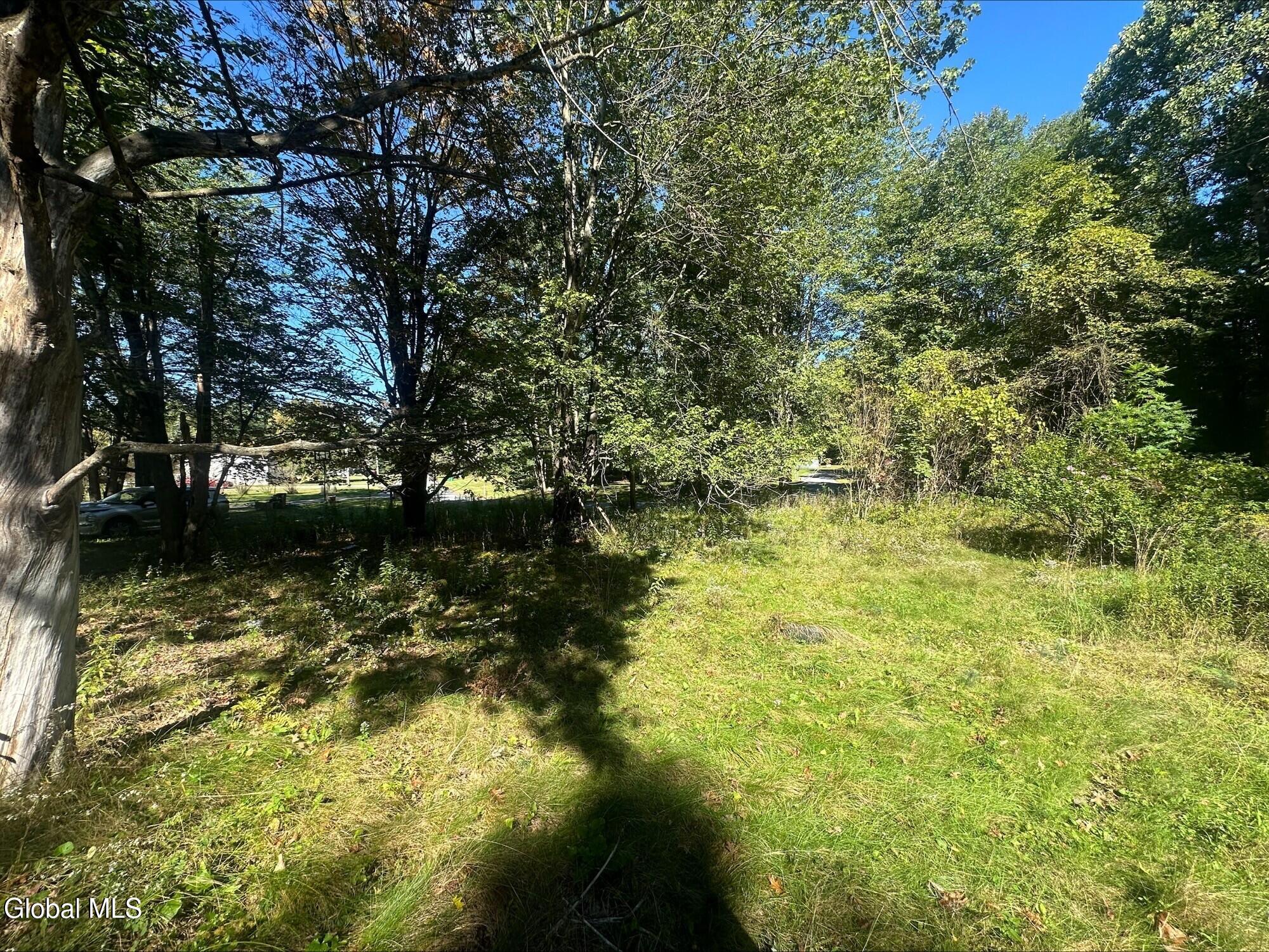 22 Kim Court Buskirk NY 12028