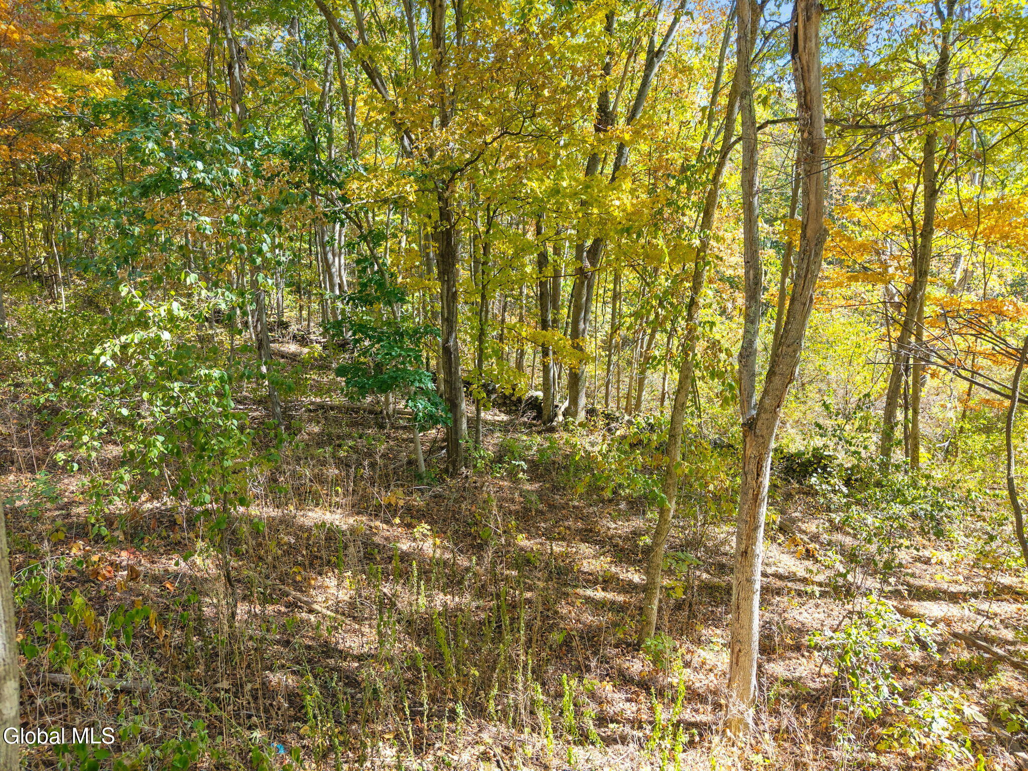 309 Carrera Lane Middle Granville NY 12849