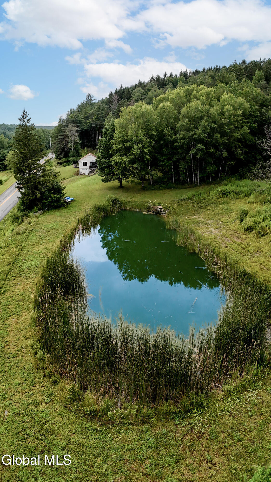 519 Shew Hollow Road Stamford NY 12167