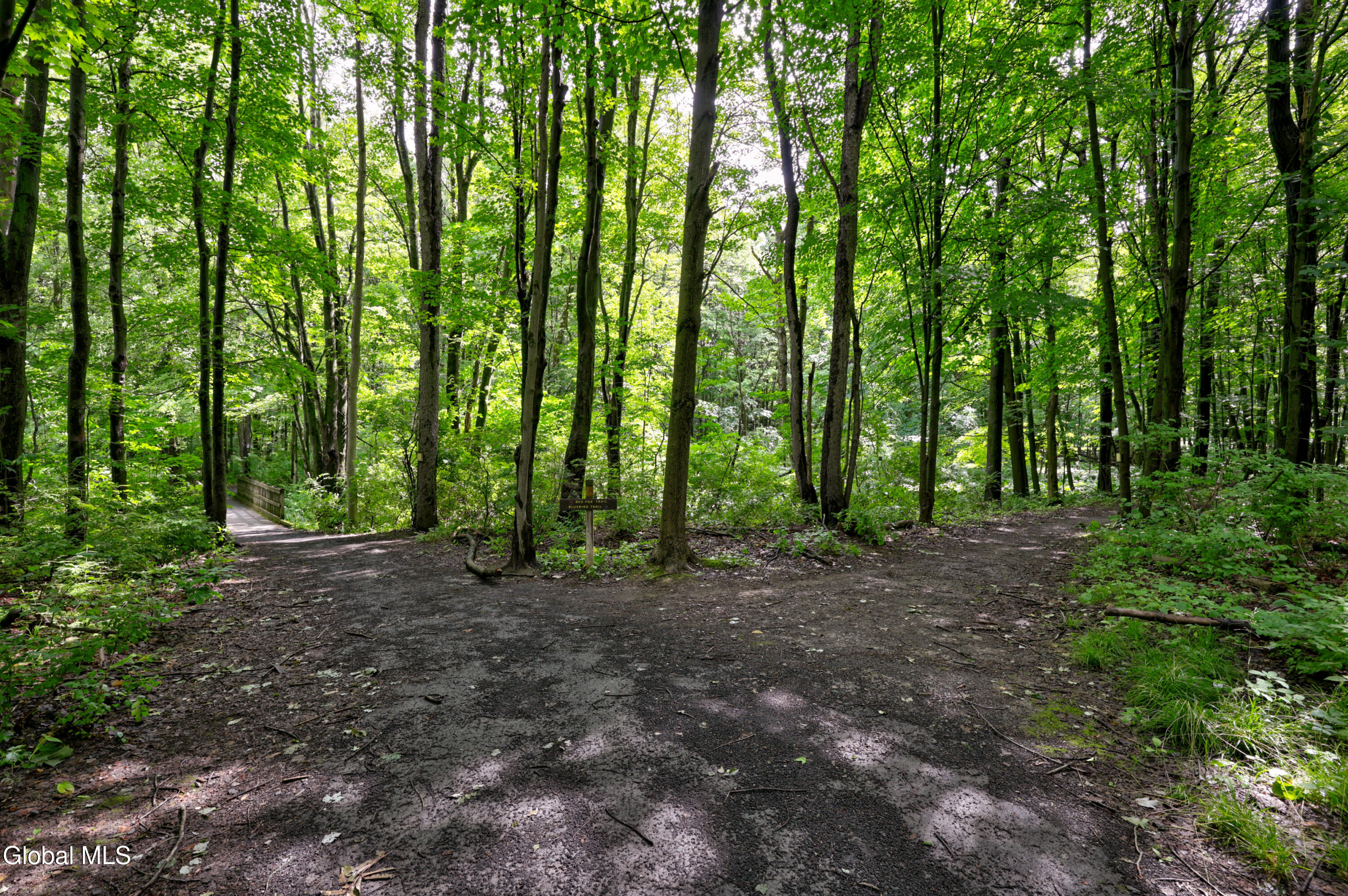 14 Thoroughbred Way Clifton Park NY 12065