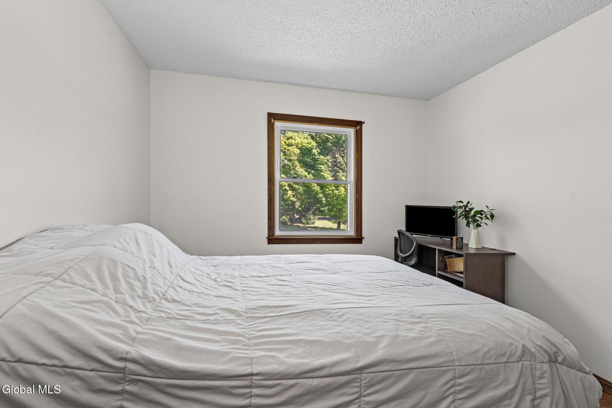 10 Carl Avenue Greenwich NY 12834