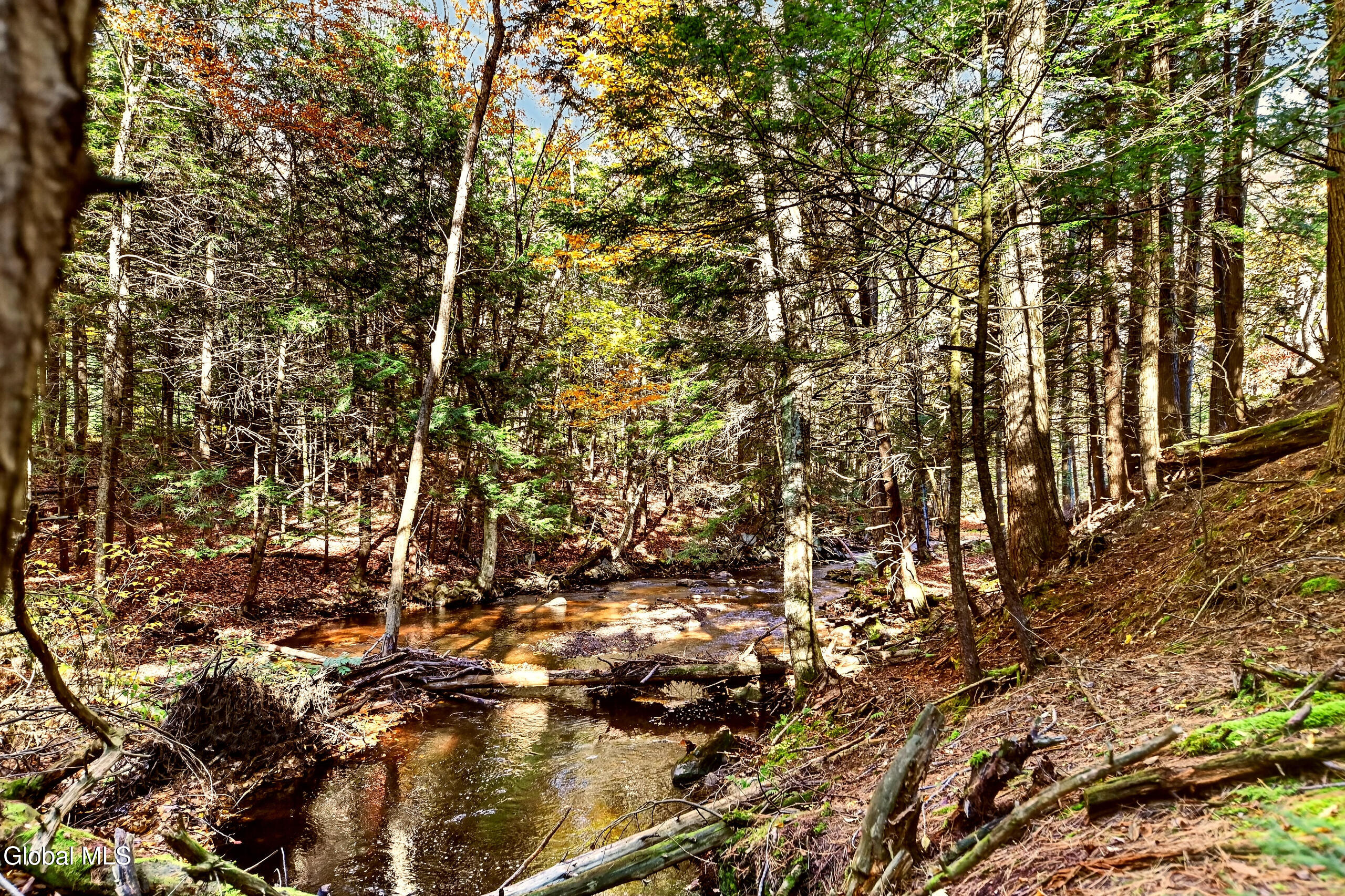 135 Glenwild Road Providence NY 12850