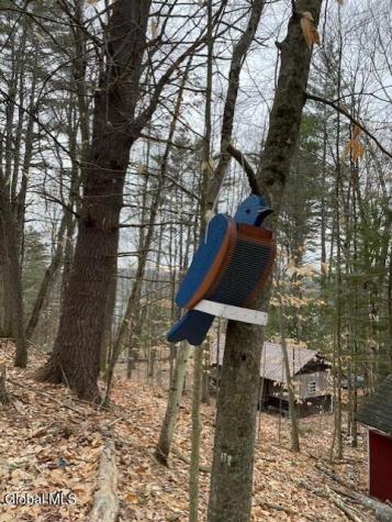 8 Deming Private Avenue Hadley NY 12835