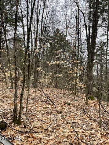8 Deming Private Avenue Hadley NY 12835