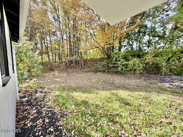1169 Ny-295 Canaan NY 12060